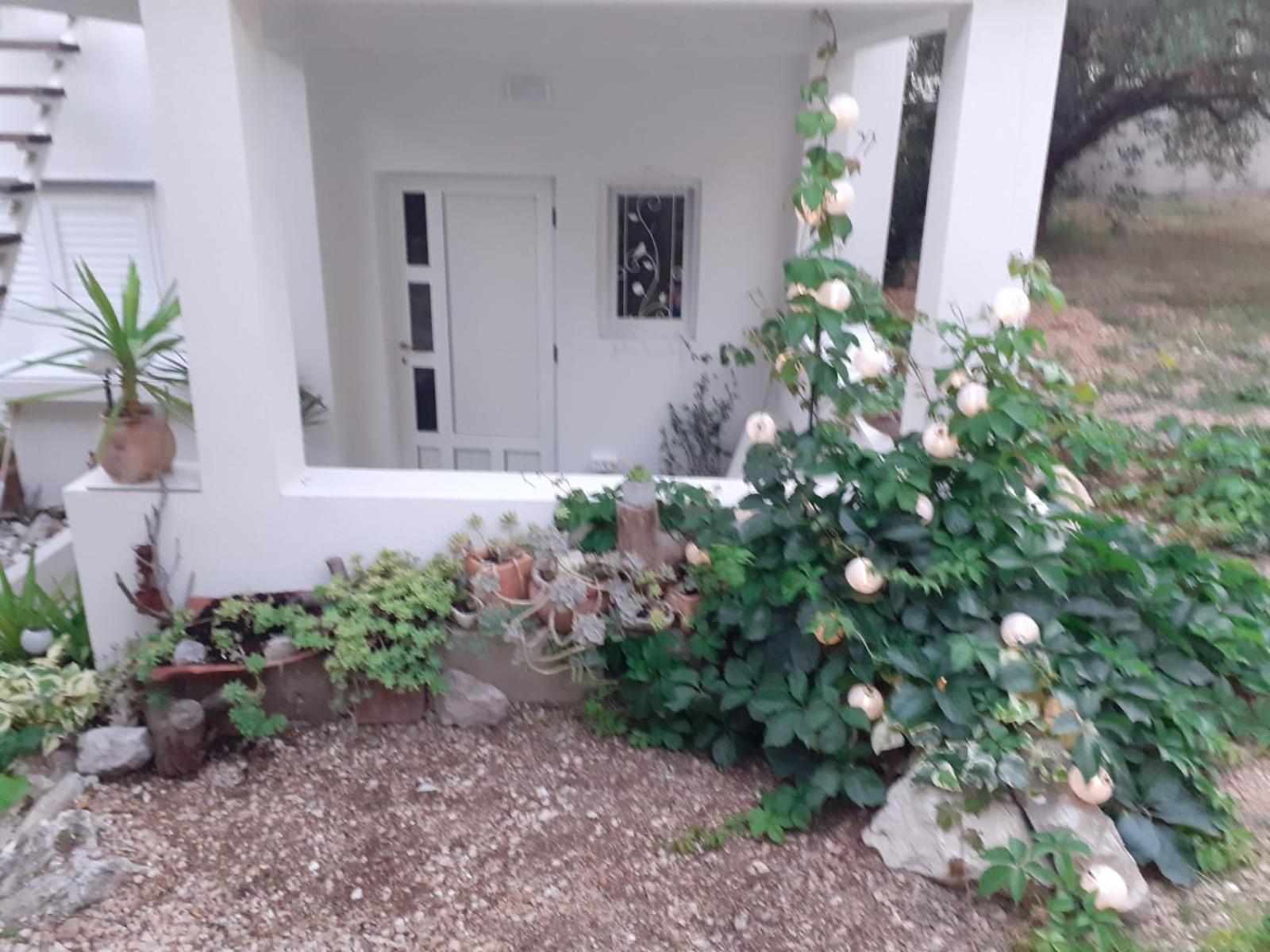 Villa Ana Макарска Номер фото